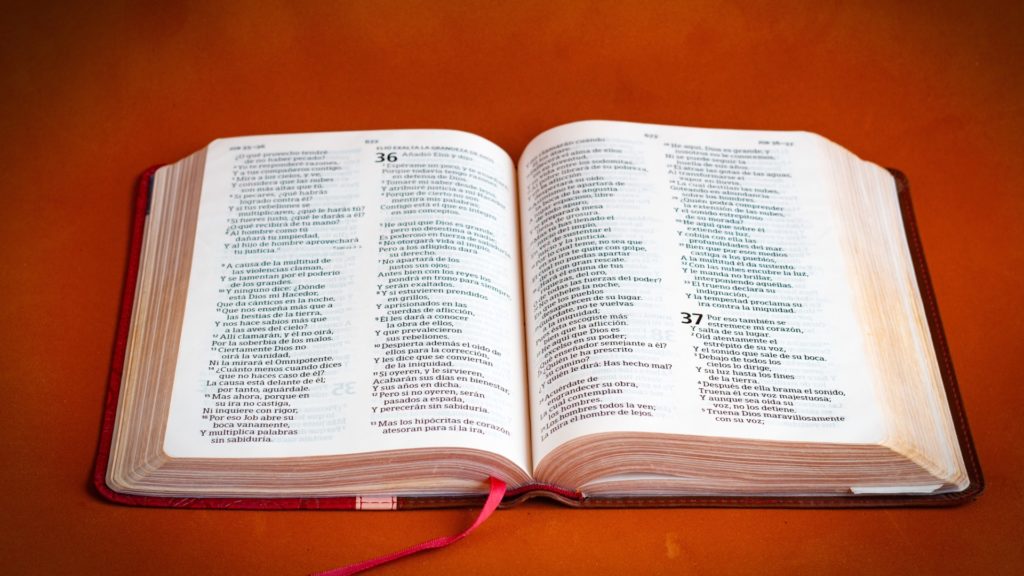 5 Maneras de Aprovechar Mejor Tu Lectura de la Biblia