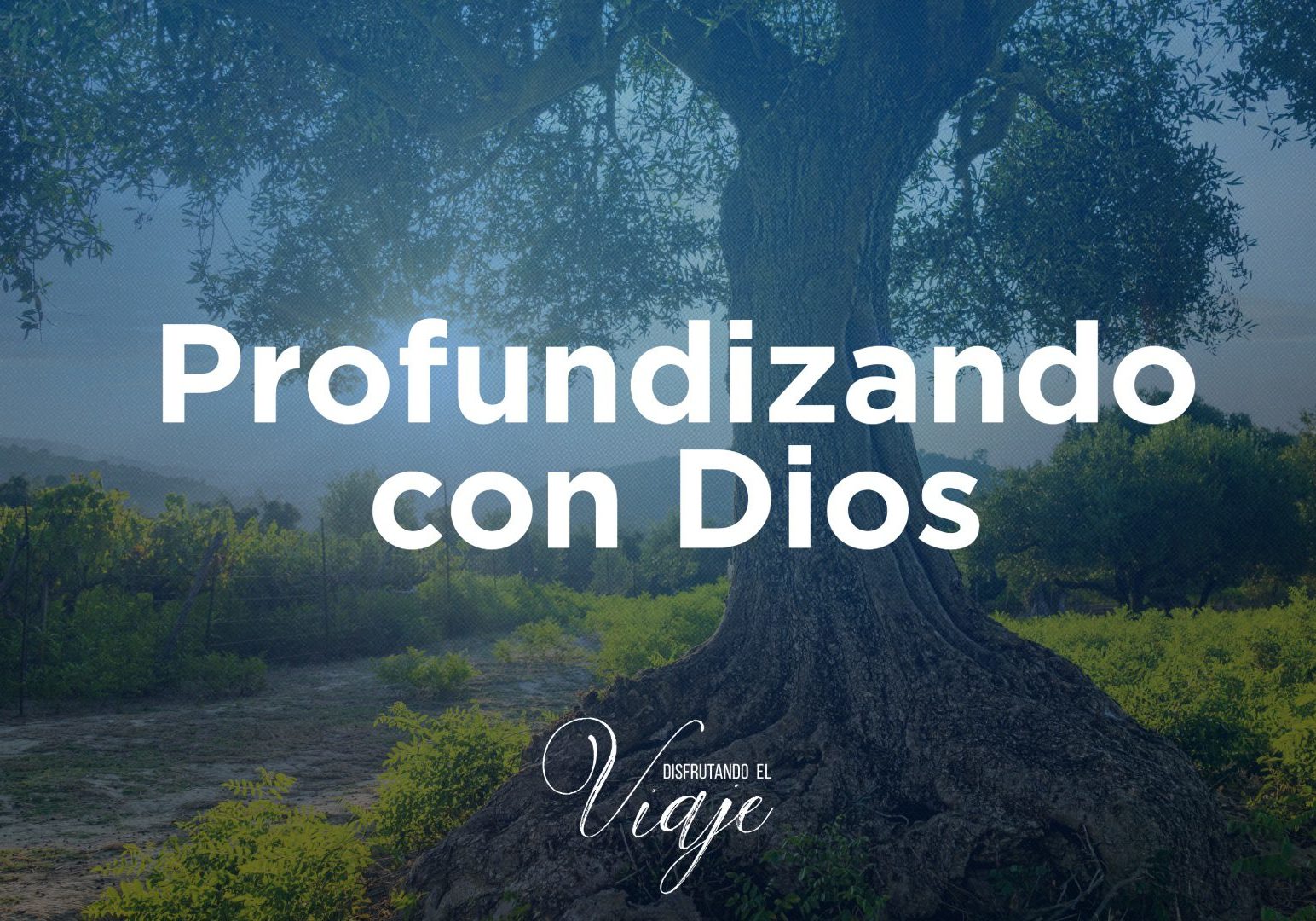Hay muchas cosas que no sé sobre Dios. Hay muchas cosas que están más allá de mi comprensión. ¿Y por qué es eso? Porque soy un ser finito y Él es un Dios infinito. Y sin embargo ¿no es glorioso, no es maravilloso que Dios, a través de Su Palabra, se haya revelado de tal manera que hay muchas cosas que sí sabemos sobre Dios.